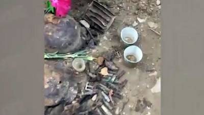 Под Петербургом нашли останки солдат из братской могилы