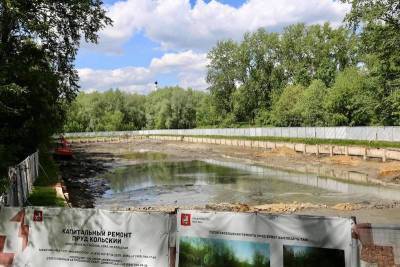 В Москве осушили Кольский пруд
