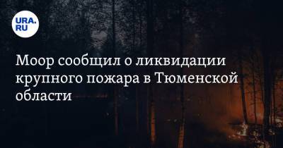 Моор сообщил о ликвидации крупного пожара в Тюменской области