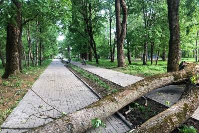 В Тверской области шквальный ветер повалил деревья на детскую площадку