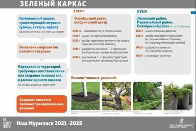 В Мурманске сформируют единую систему озеленения