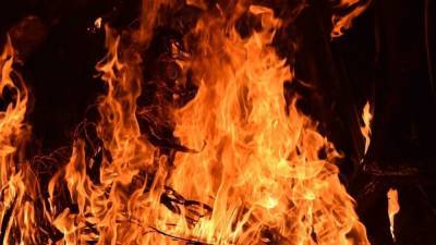 Пожар уничтожил туристический городок на острове Поджабный в Самаре