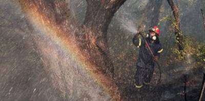 В Греции бушуют лесные пожары: выгорело 55 квадратных километров
