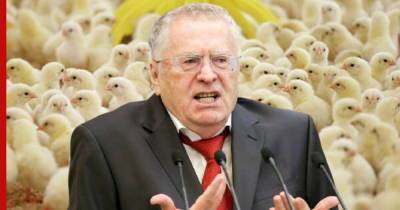 Жириновский обвинил Германию в сексизме из-за цыплят