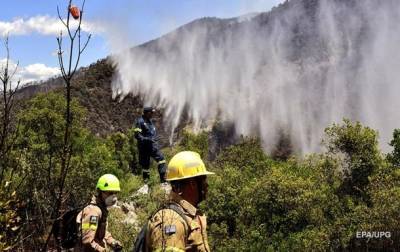 В Греции в пожарах выгорели уже 55 гектаров леса