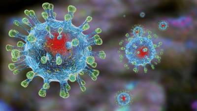 Вирусолог описал особенности индийского штамма коронавируса