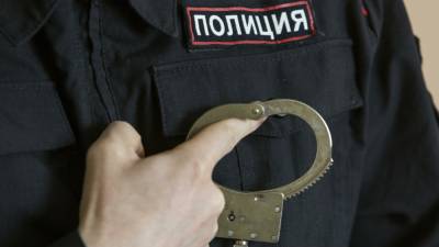 Новгородская полиция остановила собравшихся на "Земском съезде" нарушителей