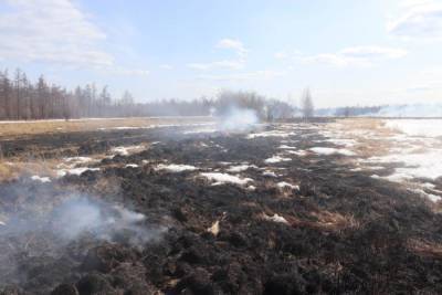 На 23 мая в Якутии действуют четыре природных пожара