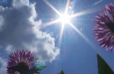 Ворвется настоящее лето: синоптики дали прогноз на воскресенье и будущую неделю
