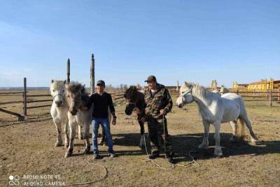 Путешественники из Оймякона на якутских лошадях отправились в Москву
