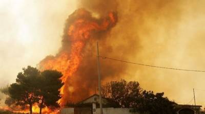 В Греции вспыхнул один из крупнейших пожаров за 30 лет