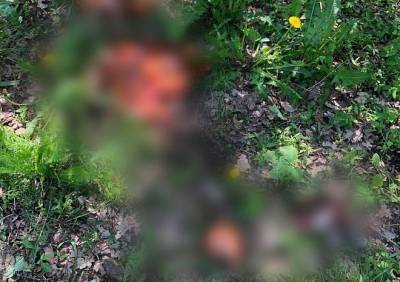 В Воронеже нашли расчлененное тело женщины