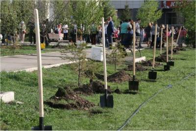 В Башкирии 116 тысяч человек высадили деревья в память о погибших воинах