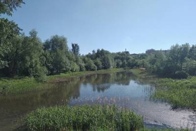 Соцсети: в Рязани сильно обмелел Черезовский пруд в Дашково-Песочне