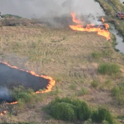 Самый крупный лесной пожар площадью более 11 га ликвидирован в Тюменской области