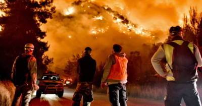 В Греции вспыхнул самый масштабный лесной пожар за десятки лет (ФОТО)