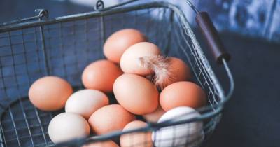 В Украине подешевели яйца: названо их стоимость