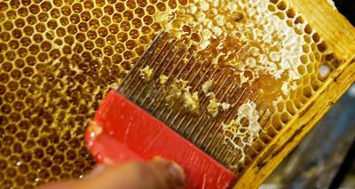 На упаковке пишут, что сделано в Латвии, а внутри - продукт из Китая: пчеловод о меде