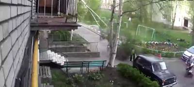 Береза упала на женщину во дворе жилого дома в Петрозаводске (ВИДЕО)