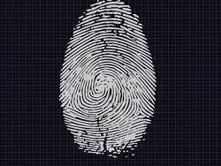 Россиян предупредили о неизбежности кражи биометрических данных
