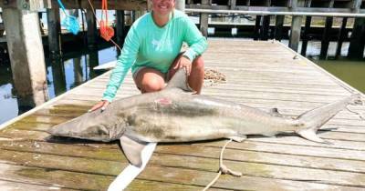 В США школьной учительнице удалось поймать опасную акулу рекордных размеров (фото) (3 фото)