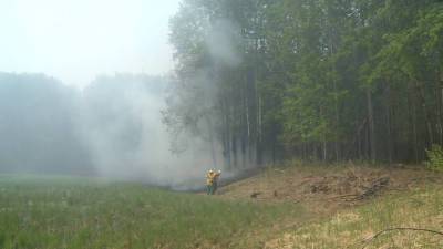 90% лесных пожаров в Тюменской области потушено