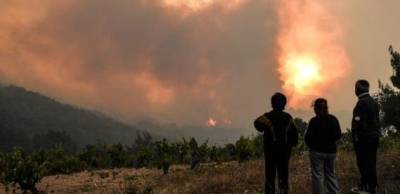 В заповедном лесу Греции вспыхнул сильнейший за последние десятилетия пожар