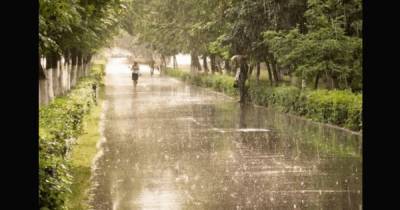 Новая неделя в Украине начнется с дождей, но постепенно будет теплеть