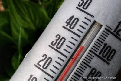По 26 мая в большинстве районов Курганской области ожидается максимальная температура воздуха 36-38°