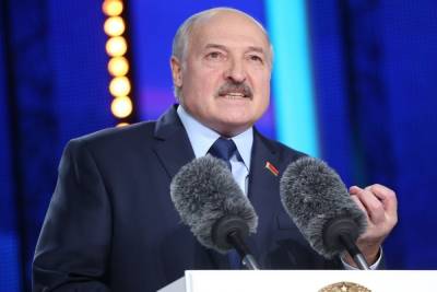 Лукашенко силой посадил самолет на Вильнюс с беглым оппозиционером