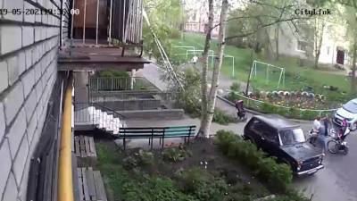 В Петрозаводске дерево упало на женщину