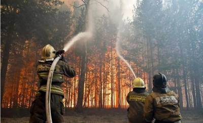 В Тюменской области ликвидирован самый крупный лесной пожар