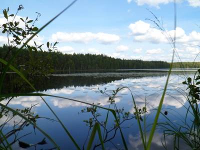 В Уфе на местном озере едва не утонула женщина