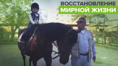 Восстановление работы конного клуба в Алеппо — видео