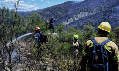 Греция: лесной пожар под Афинами почти под контролем - unn.com.ua - Киев - Греция