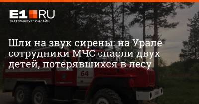 Шли на звук сирены: на Урале сотрудники МЧС спасли двух детей, потерявшихся в лесу