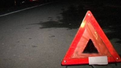 В Псковской области петербуржец на Mitsubishi Outlander сбил петербуржца, перебегавшего дорогу