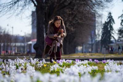 «Накроют обильные ливни»: москвичей ждет похолодание и грозы в последние дни мая