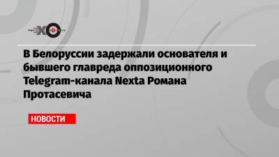 В Белоруссии задержали основателя и бывшего главреда оппозиционного Telegram-канала Nexta Романа Протасевича