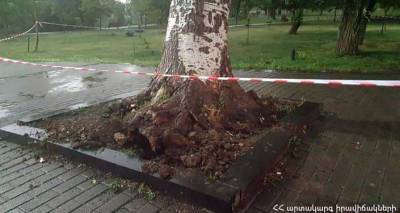 По Еревану прошелся ураганный ветер: повалены деревья, сорваны крыши
