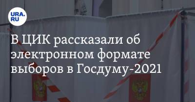 В ЦИК рассказали об электронном формате выборов в Госдуму-2021
