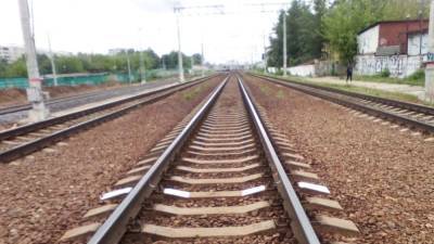 Пожилая жительница Тулы погибла под колесами поезда на перегоне Хомяково