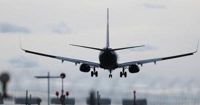 Самолет экстренно вернулся в Екатеринбург из-за столкновения с птицей