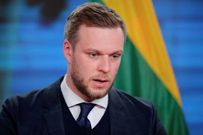 Габриэлюса Ландсбергиса - Литва призвала ЕС избегать воздушного пространства Белоруссии - lenta.ru - Литва
