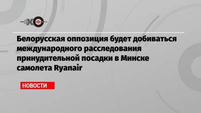 Белорусская оппозиция будет добиваться международного расследования принудительной посадки в Минске самолета Ryanair