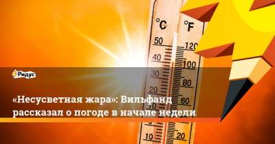 «Несусветная жара»: Вильфанд рассказал о погоде в начале недели