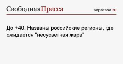 До +40: Названы российские регионы, где ожидается «несусветная жара»