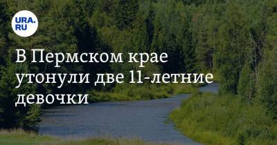 В Пермском крае утонули две 11-летние девочки