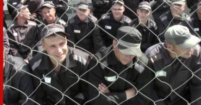В Минюсте поддержали идею замещать трудовых мигрантов заключенными