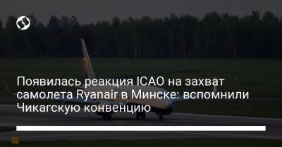 Появилась реакция ICAO на захват самолета Ryanair в Минске: вспомнили Чикагскую конвенцию